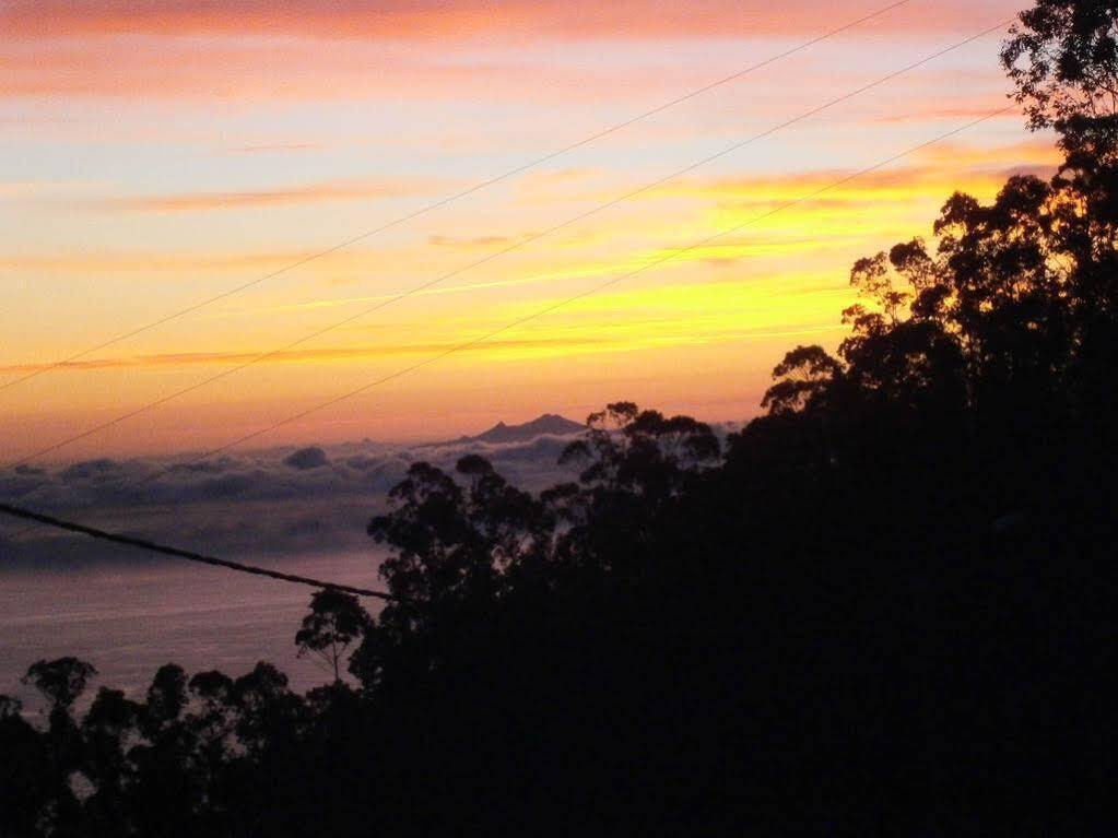 Casa Das Proteas São Jorge Exteriör bild